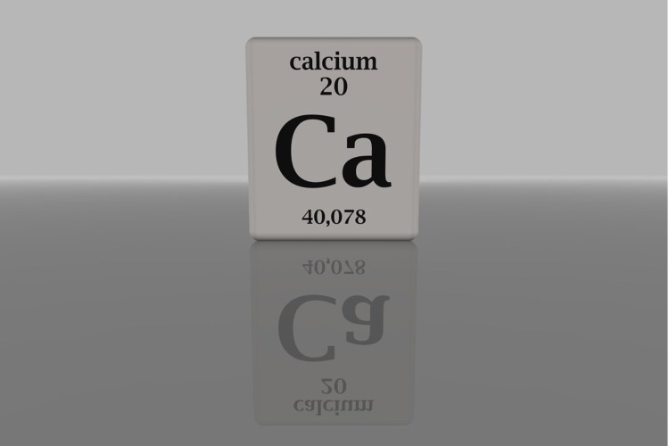 میزان جذب کلسیم به عوامل مختلفی بستگی دارد.